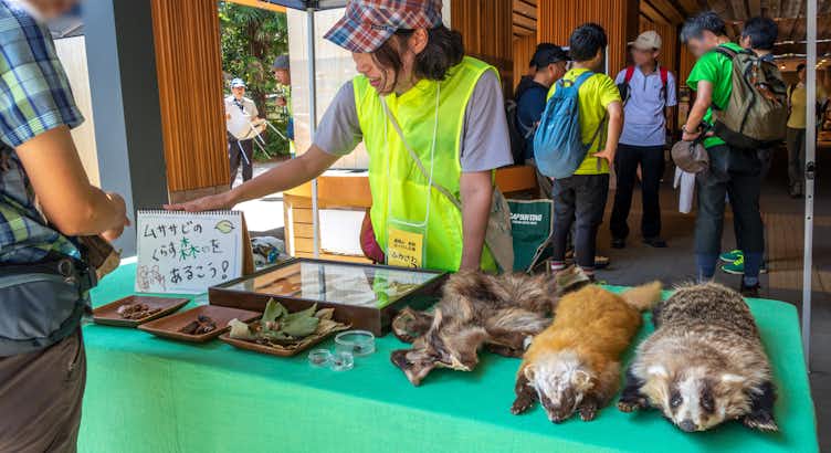 middle_96caa81d32f91786962aa91