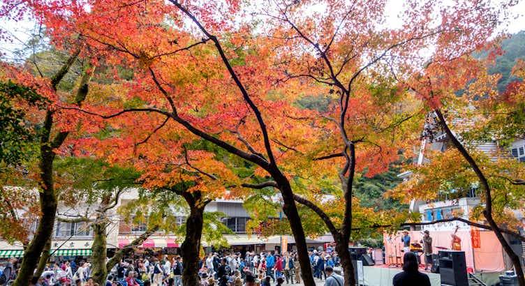 もみじ middle_2b69f938770ebc4f0e361c8