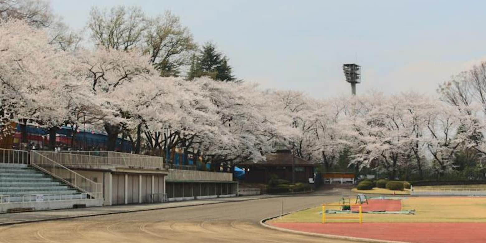 イベント盛りだくさんの富士森公園を紹介 八王子の情報盛りだくさんブログ記事 八王子の地域情報ポータルサイト はちなび