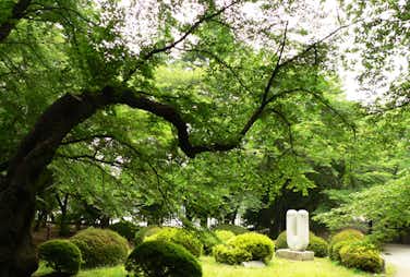 【富士森公園】八王子の大自然！季節ごとにイベントも！/