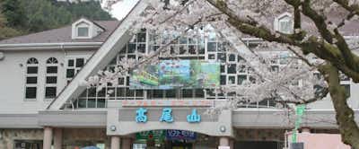 八王子の有名観光スポット「高尾山」の年間イベント・行事紹介!