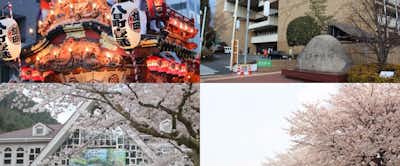 八王子八十八景ってなに??