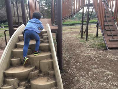 自然たっぷりの八王子小宮公園へ親子でおでかけ 子どもと遊ぶ 親子で楽しむ八王子 八王子の地域情報ポータルサイト はちなび