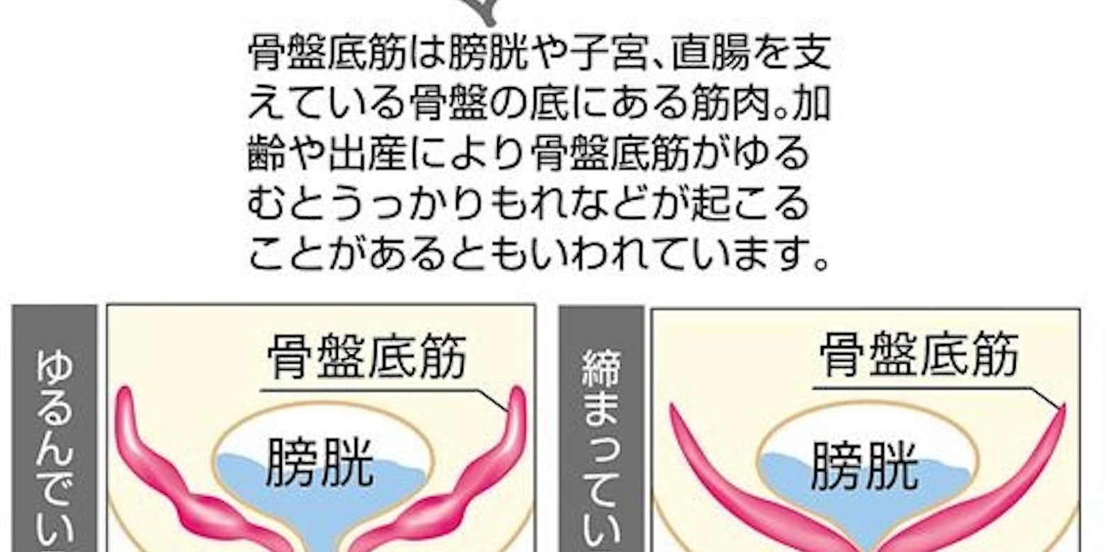 骨盤底筋を鍛えて尿漏れ防止 女性専用 ジムアワード 公式 女性専用 地域最安値 24時間ジム セルフエステ アワード八王子のブログ はちなび