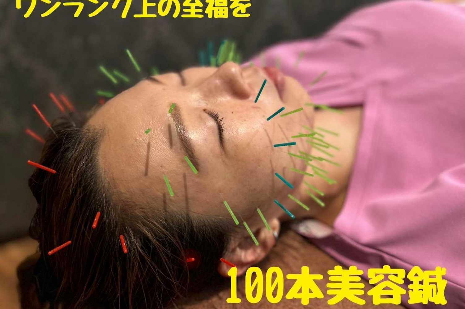 鍼 100 安い 本