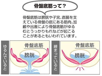骨盤底筋を鍛えて尿漏れ防止 女性専用 ジムアワード 公式 女性専用 地域最安値 24時間ジム セルフエステ アワード八王子のブログ はちなび