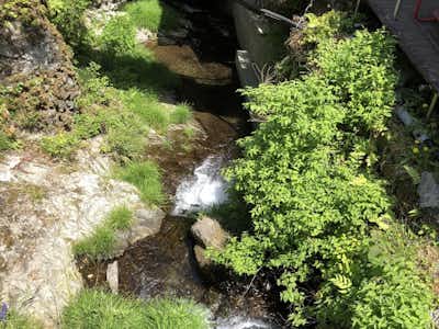 陣馬そば 山下屋の口コミ評価評判お店の間を流れる小川