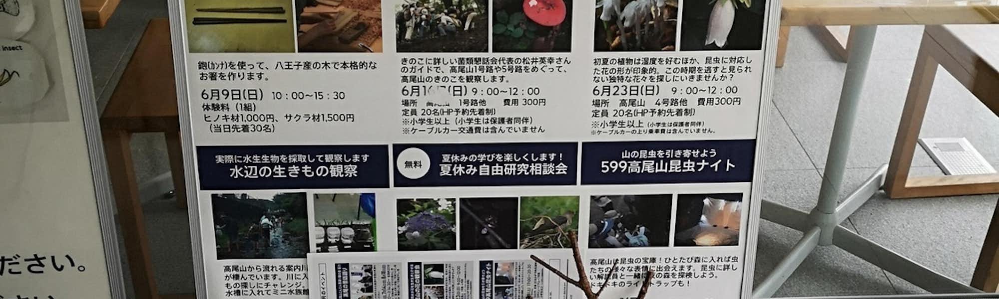 しろのトップローテション画像