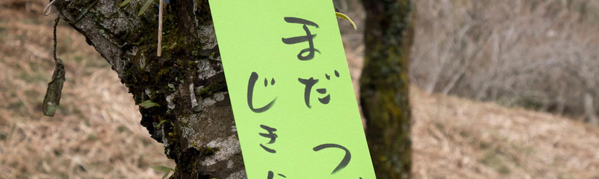 タケモトのトップローテション画像