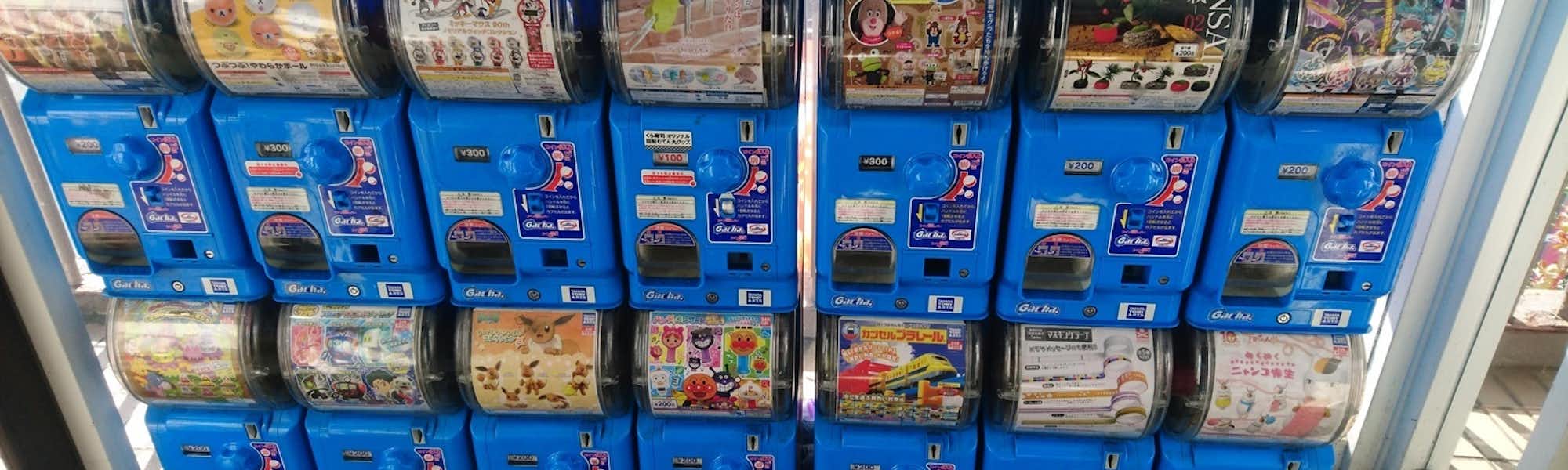 しろのトップローテション画像