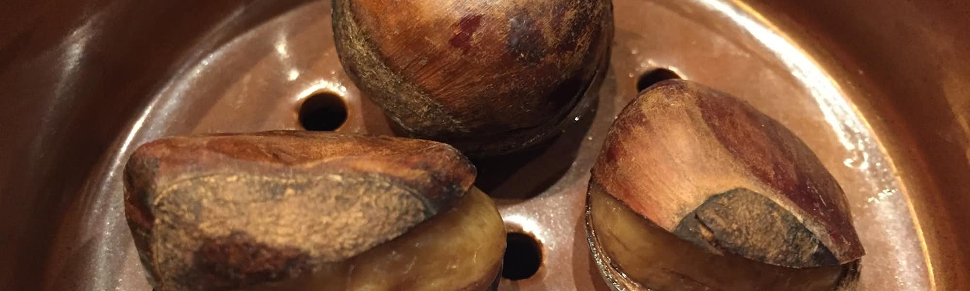 こあらのトップローテション画像