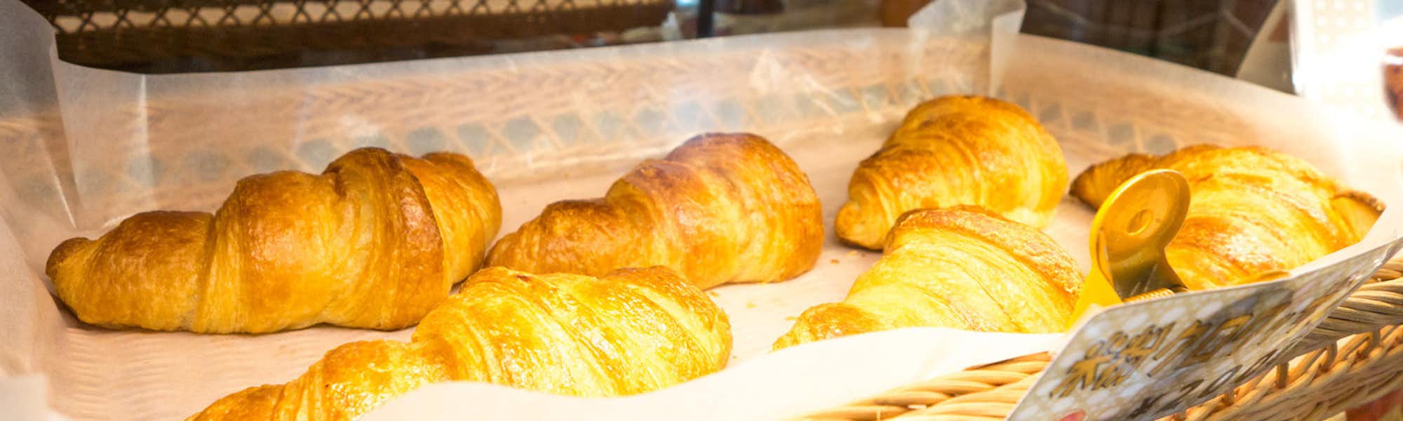 タケモトのトップローテション画像