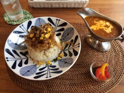 おうちCafe 樹と葉っぱの口コミ評価評判チキンとトマトのカレー