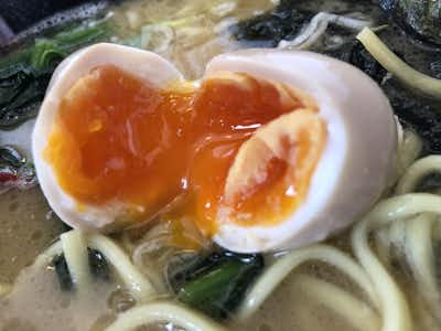 【閉店】濃厚豚骨醤油横浜家系 らーめん中川家の口コミ評価評判味玉