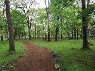 小田野中央公園の口コミ評価評判こかげ広場（8月初旬にキツネのカミソリ9月にはヒガンバナ）