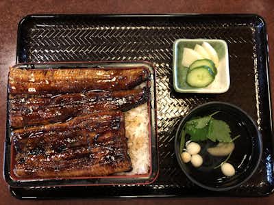 だるま寿司本店の口コミ評価評判うな重（松）