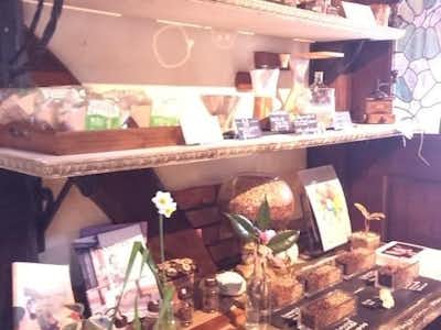 パペルブルグの口コミ評価評判コーヒーメーカーなど