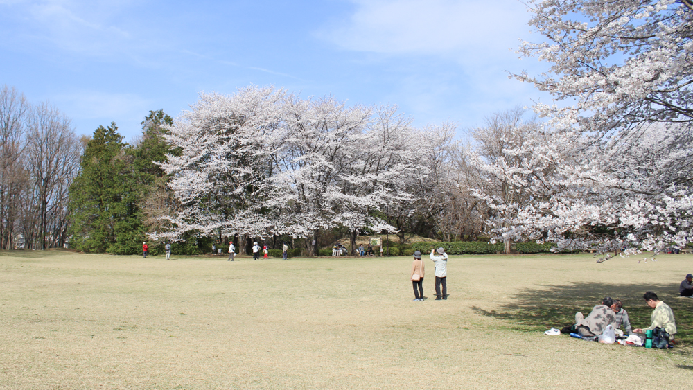 おもてなし八王子の歴史巡り片倉城跡