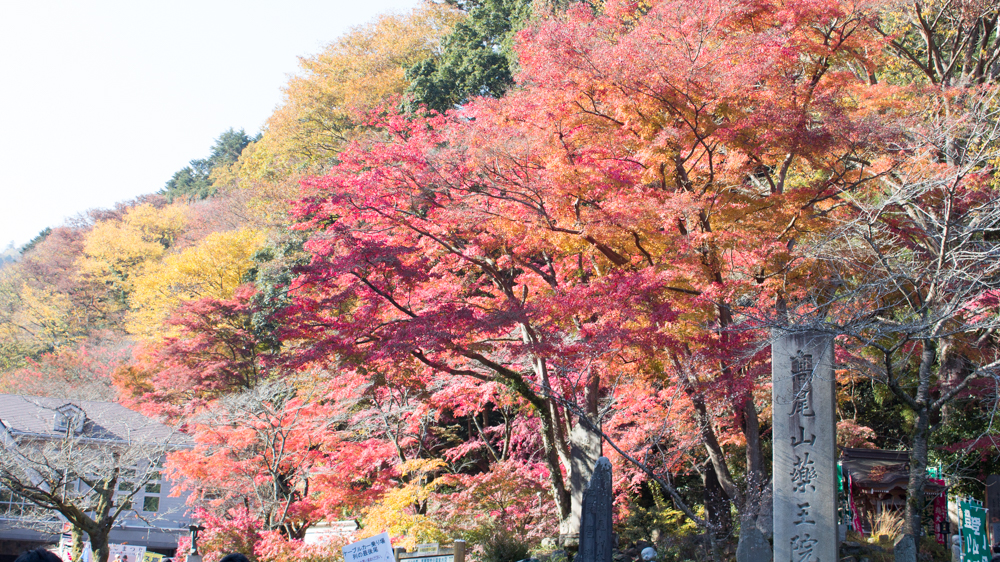 おもてなし観光スポット高尾山画像