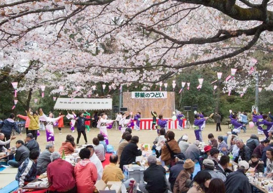 2018年　滝山城跡桜まつり