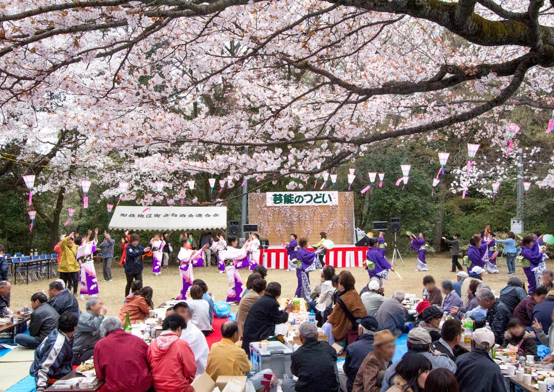 2019年　滝山城跡桜まつり