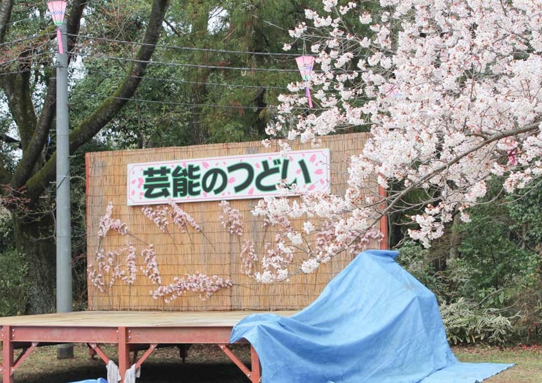 第50回 滝山桜祭り2015