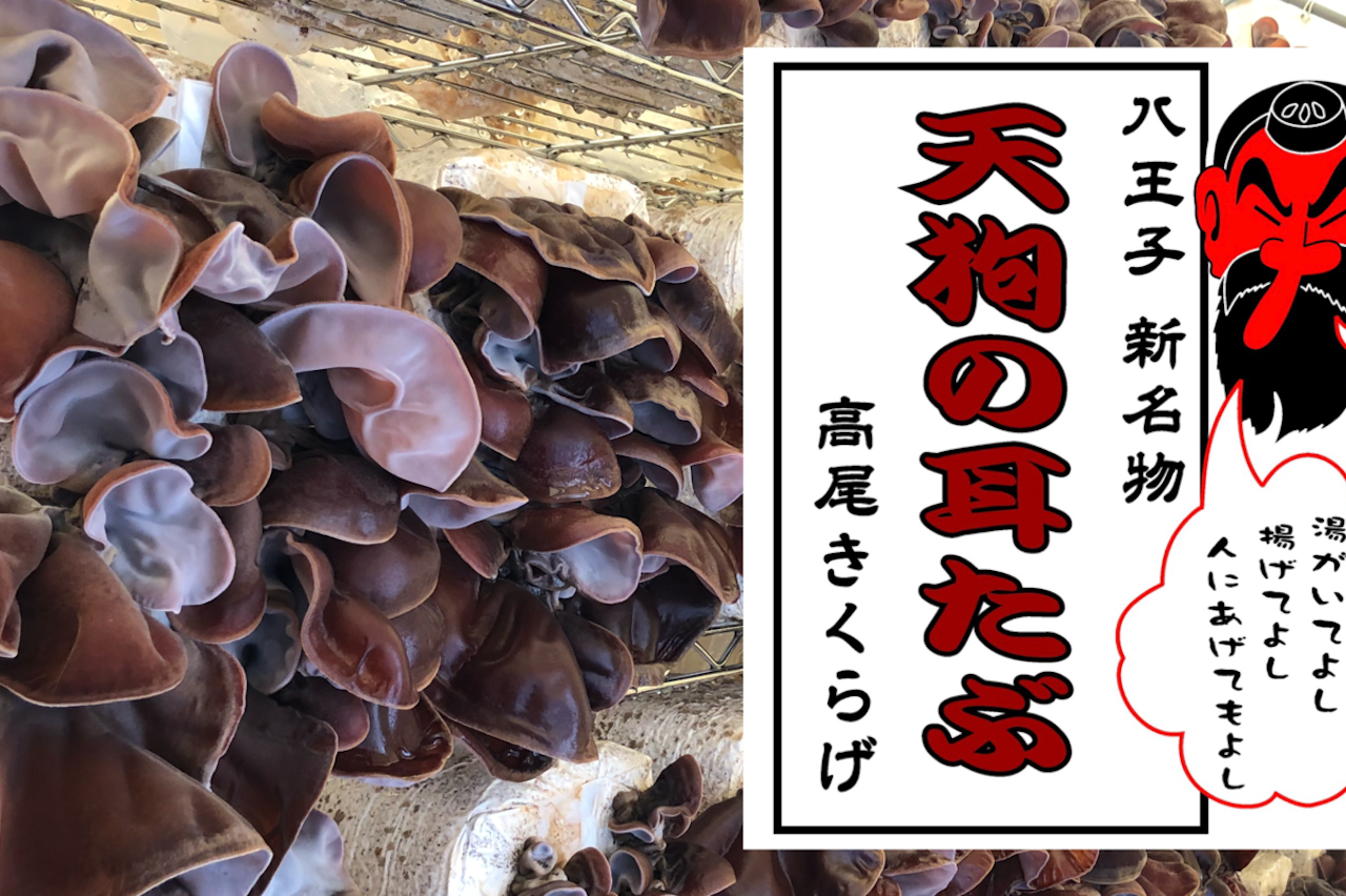 キクラゲ様ご確認用 (初めての方向け|おうちでかんたん!純 キクラゲ様ご確認用 (初めての方向け|おうちでかんたん!純