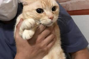 年末年始のお知らせとポイント割引廃止について