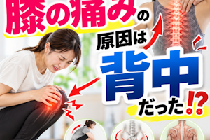 膝の痛みの原因は背中だった
