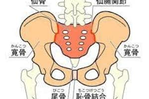 産後の骨盤矯正。ふじもり桜花整骨院