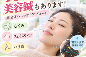 100本の鍼で隅々まで美肌効果
