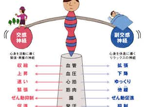 自律神経を整えるには？