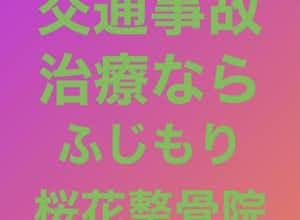 八王子の交通事故治療ならふじもり桜花整骨院｜むちうち、腰痛