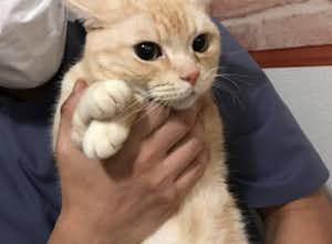 年末年始のお知らせとポイント割引廃止について