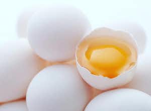卵黄と卵白の違い