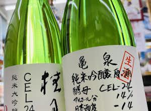 知らなきゃ損！高知酵母CEL24の衝撃