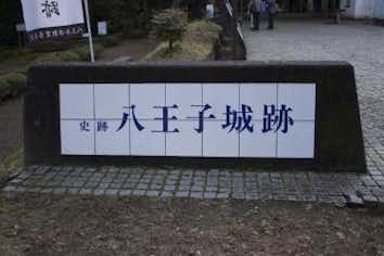 スポット画像