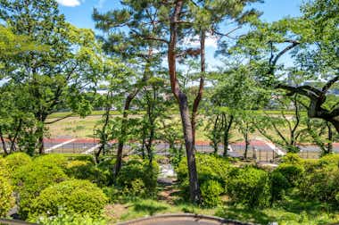 富士森公園の口コミ評価評判