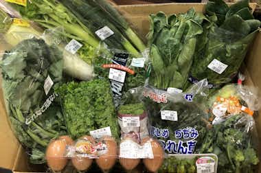 道の駅　八王子滝山内　ファーム滝山の口コミ評価評判戦利品