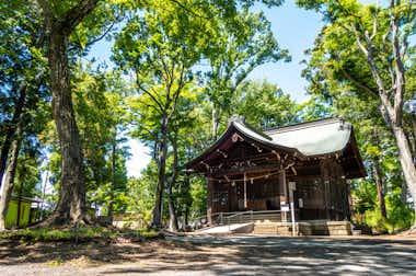 富士森公園の口コミ評価評判浅間神社