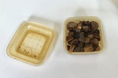 ラーメン  豊春（ほうしゅん）の口コミ評価評判ニンニクの醤油煮
味が濃くてうまいです