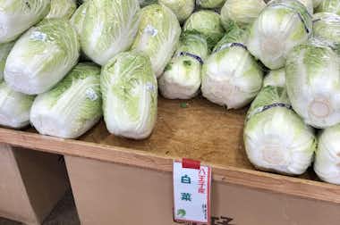 道の駅　八王子滝山内　ファーム滝山の口コミ評価評判白菜