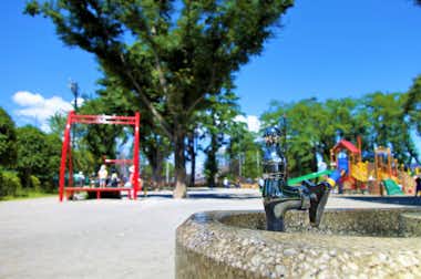 富士森公園の口コミ評価評判水飲み場