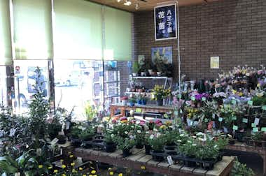 道の駅　八王子滝山内　ファーム滝山の口コミ評価評判生花、花苗コーナー