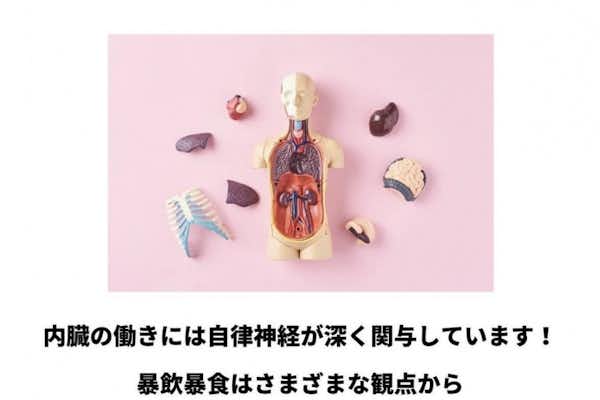 内臓と自律神経の関係？