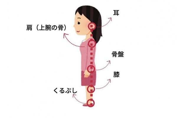 姿勢保持筋を鍛えてゴールデンラインを加圧トレーニングで獲得