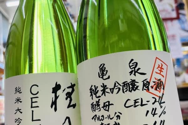 知らなきゃ損！高知酵母CEL24の衝撃